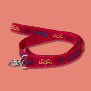 guia nylon decorada prime 15mmx95cm ca