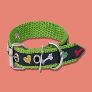 coleira nylon decorada prime