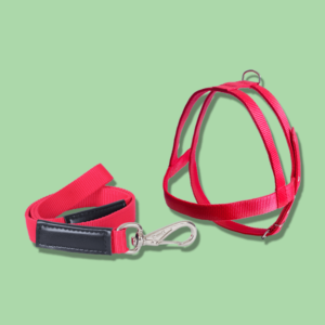 conj guia/peitoral nylon duplo