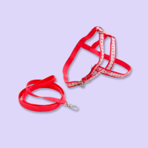 conj guia/peitoral decor fivela