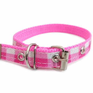 coleira nylon decorada prime