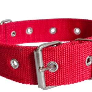 coleira nylon dupla