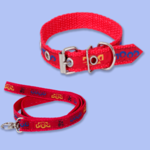 conj guia/coleira decorada prime